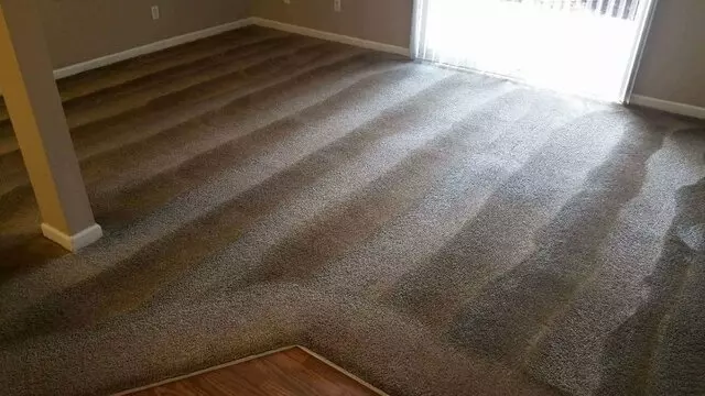 A Master’s Touch Carpet Cleaning