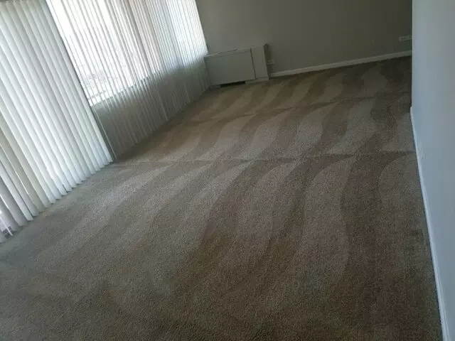 A Master’s Touch Carpet Cleaning