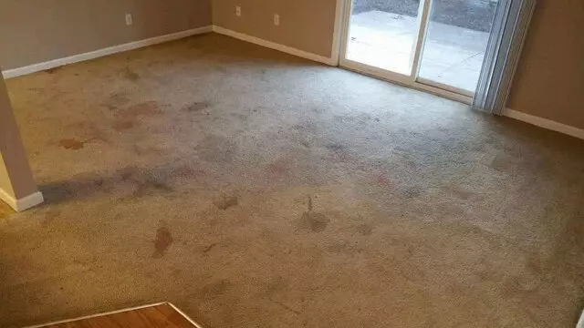 A Master’s Touch Carpet Cleaning