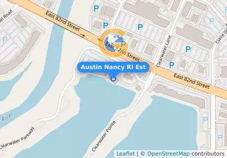 Austin Nancy Rl Est