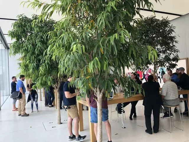 Apple Store