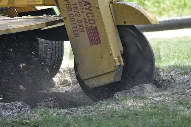 All Points Tree Service