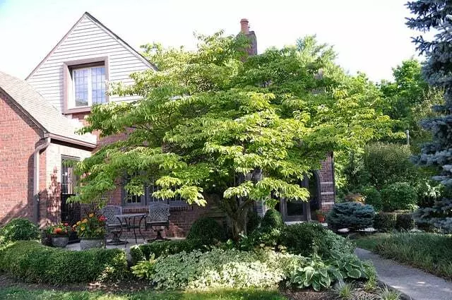 All Points Tree Service