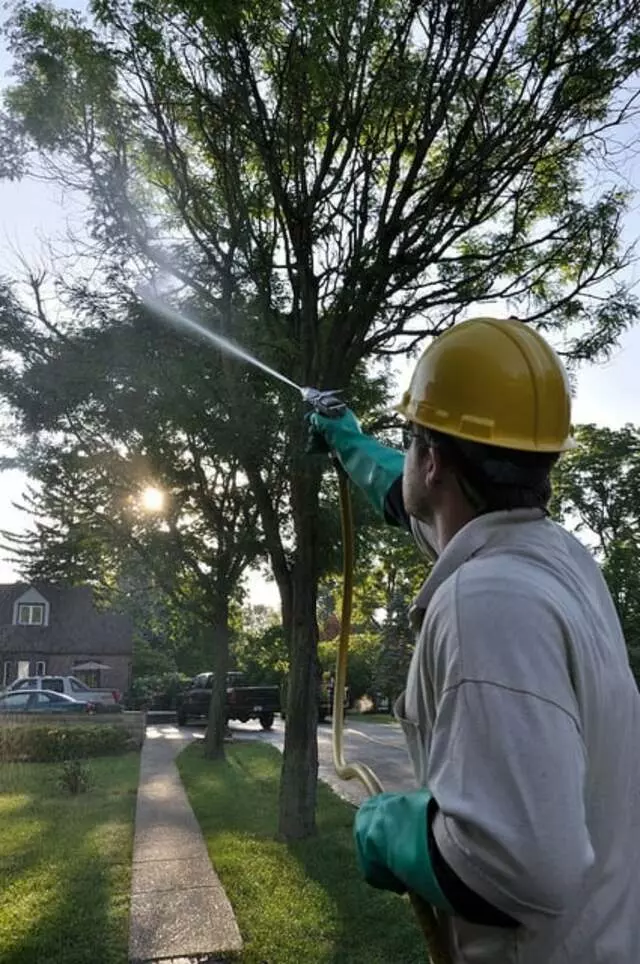 All Points Tree Service
