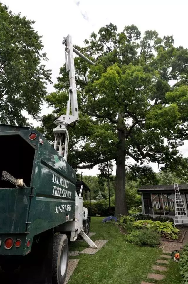 All Points Tree Service