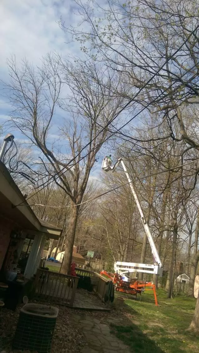 All Points Tree Service