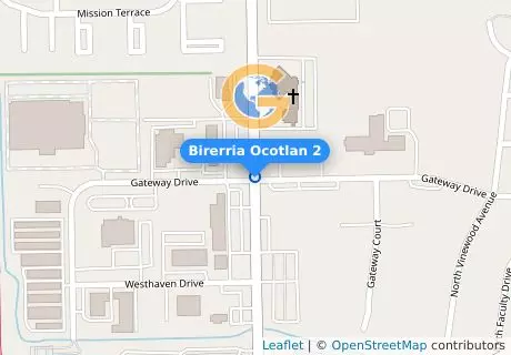 Birerria Ocotlan 2