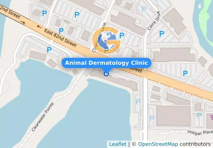 Animal Dermatology Clinic