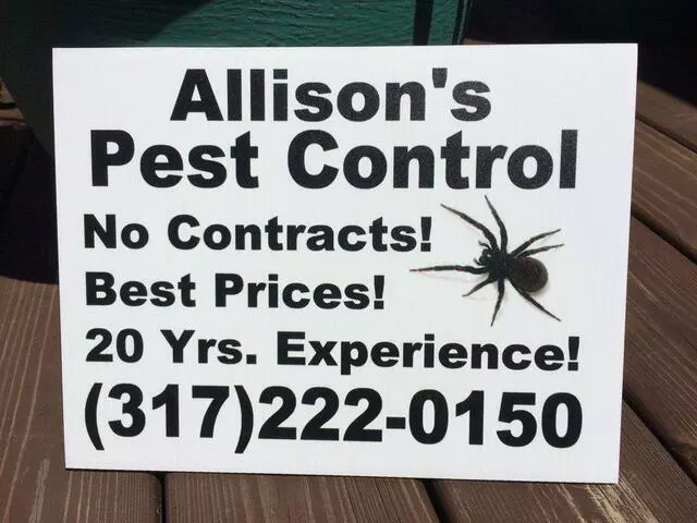 Allison’s Affordable Pest Control