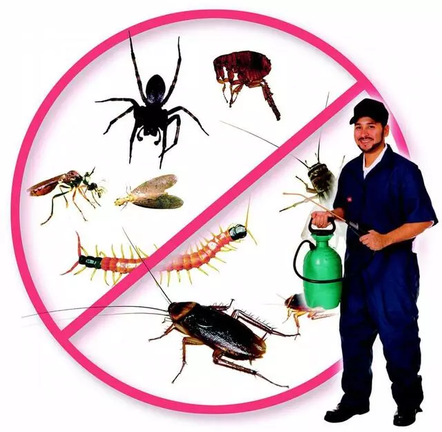 Allison’s Affordable Pest Control