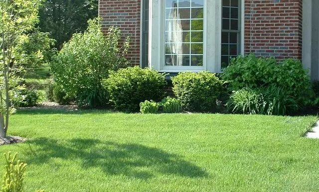 All Green