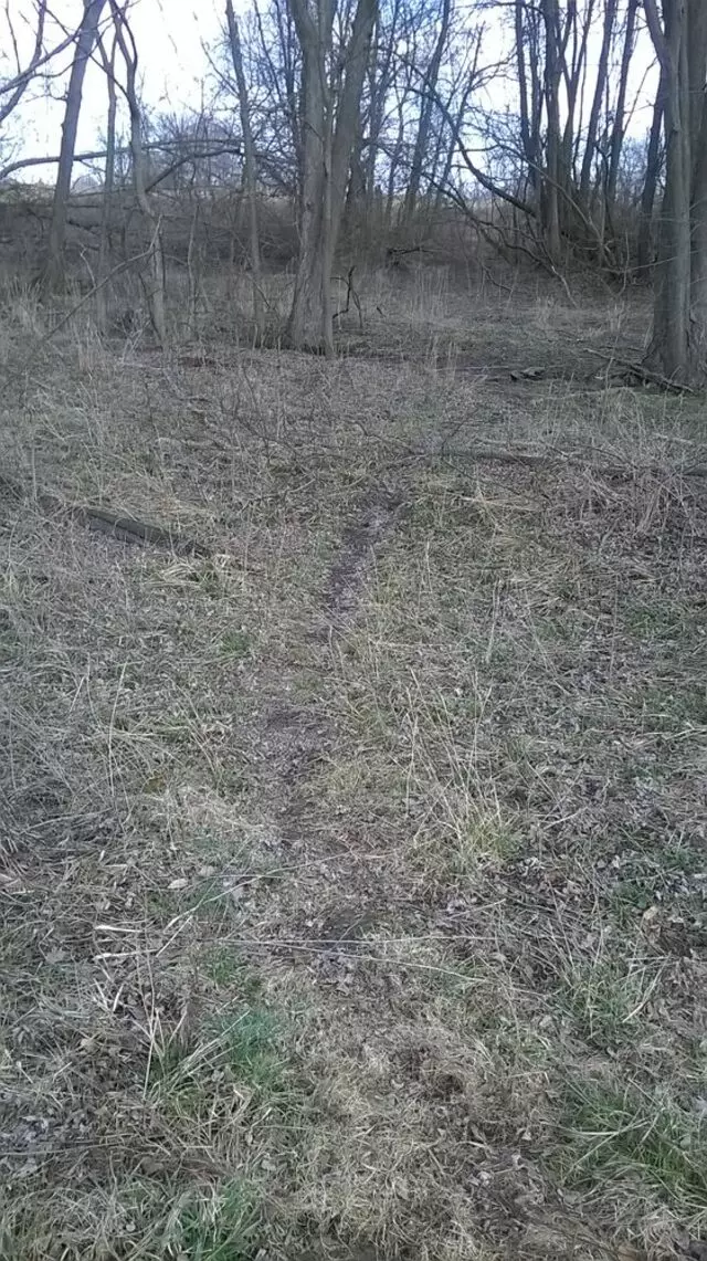 Acton Park