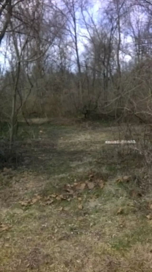 Acton Park