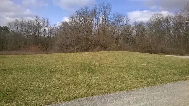 Acton Park