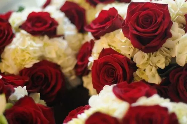 Avant Garde Weddings & Events