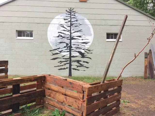 White Pine Wilderness Academy