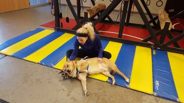Fire Eye Fitness