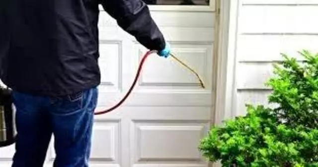 A1 Pest Solutions