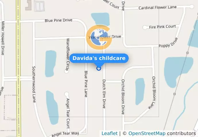 Davida&apos;s childcare