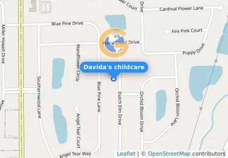 Davida's childcare