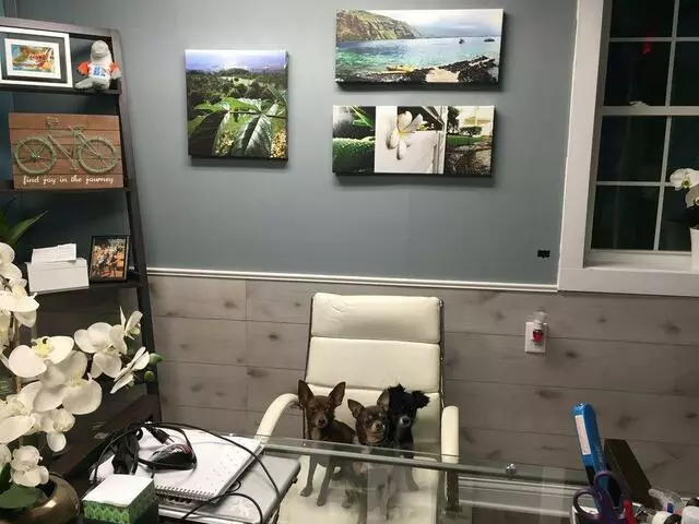 The Fitness Lab