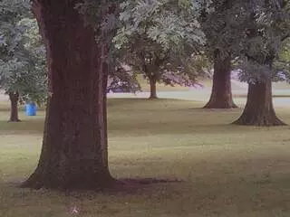 Arsenal Park
