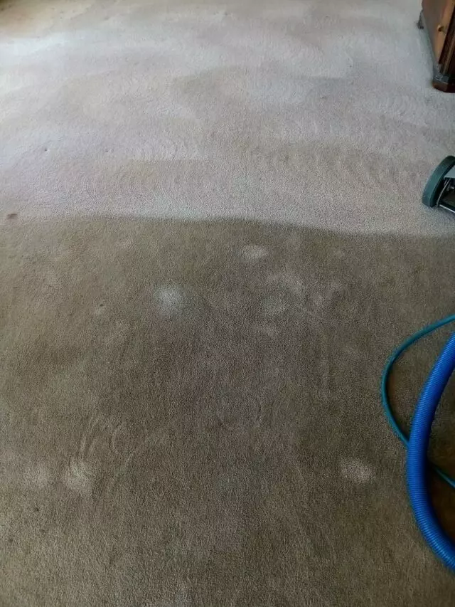 All Brite Chem-Dry