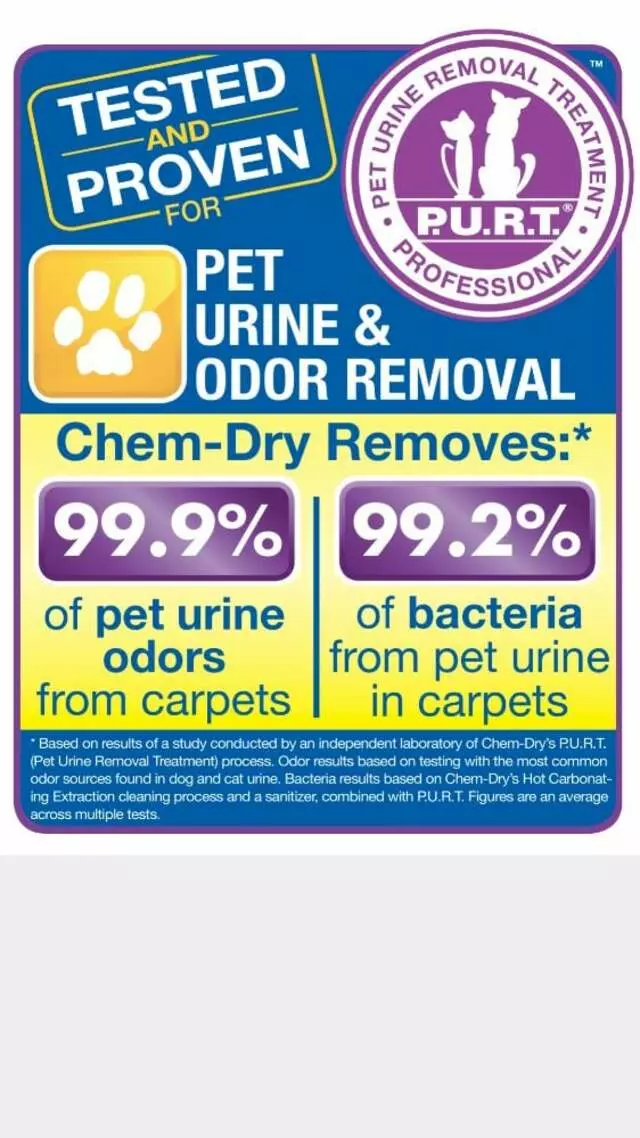 All Brite Chem-Dry