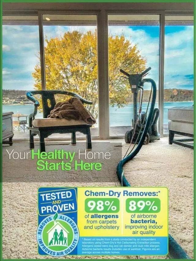 All Brite Chem-Dry
