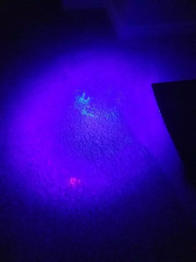 All Brite Chem-Dry