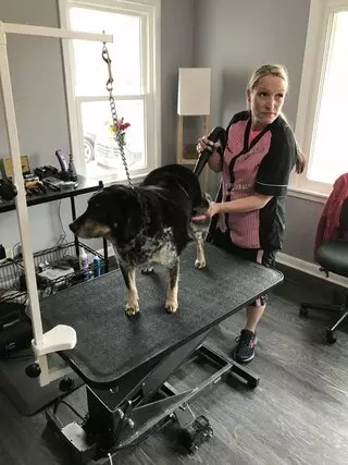 Corryne's Dog Spa