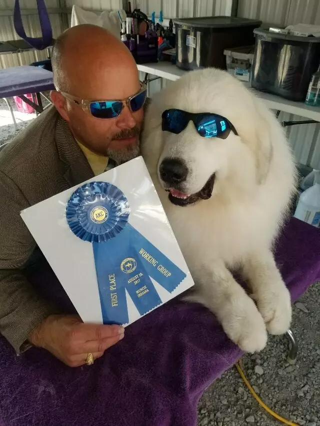 Awesome Paws Pet Playhouse & Day Spa