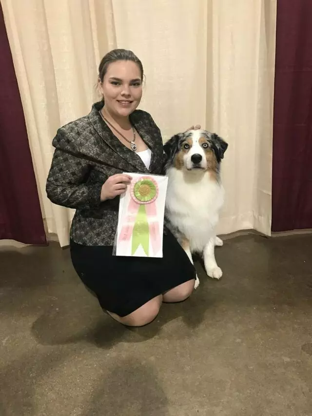 Awesome Paws Pet Playhouse & Day Spa