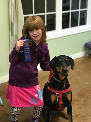 Doberman Puppy