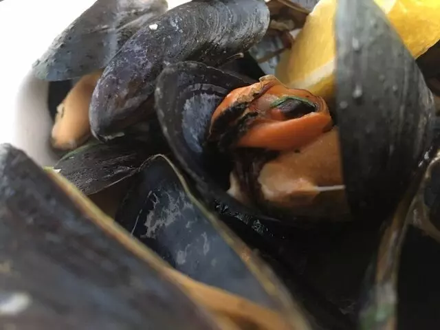 Ambrosia