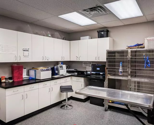 City Way Animal Clinics - Mass Ave