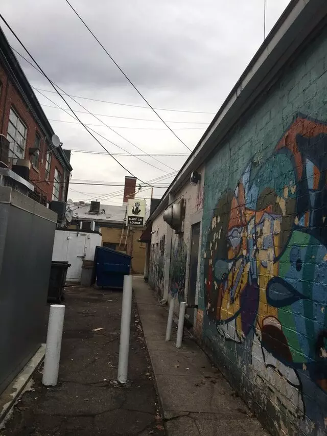 Alley Cat Lounge