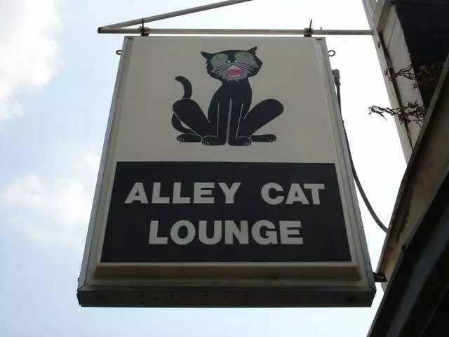 Alley Cat Lounge