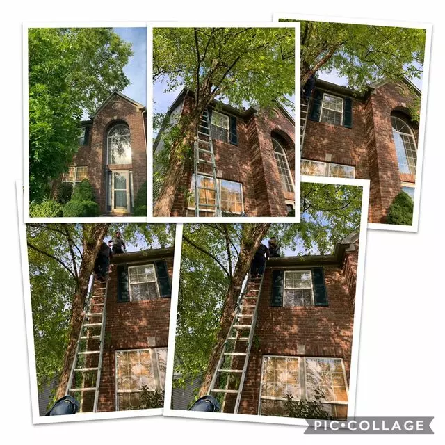 WL Landscaping & Cleaning