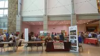 Asian Fest